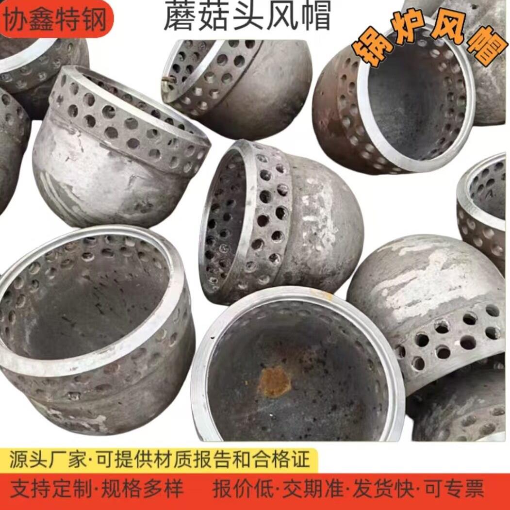 ZG40Cr25Ni20钟罩式锅炉风帽循环流化床CFB锅炉耐温布风配件310