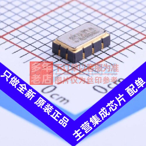 定时器/计时器 DS4125D+ LCCC-10(3.2x5) MAXIM(美信) 电子元器件