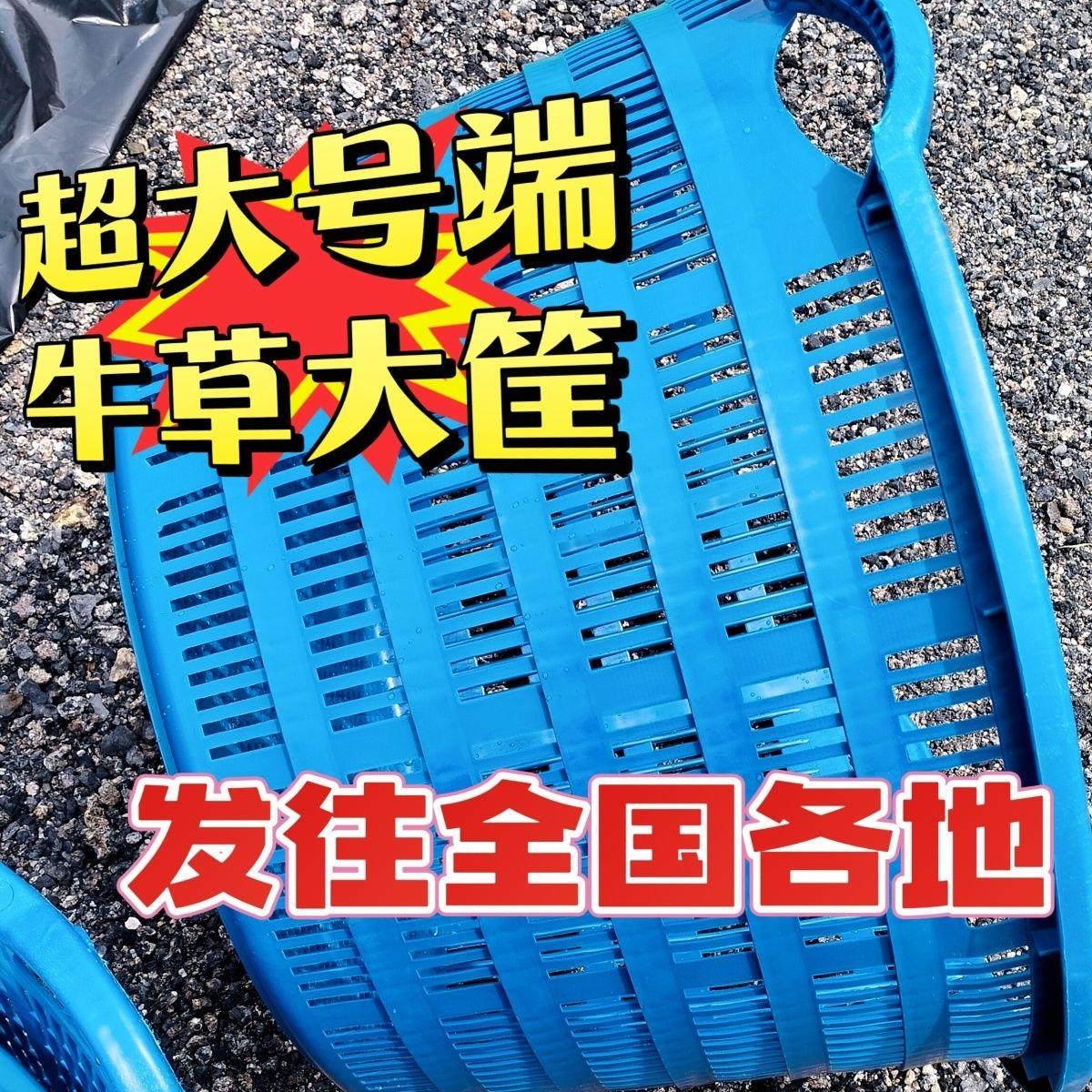 特大号端牛草圆形塑料筐特大号水果筐加厚西瓜箩筐蔬菜收纳筐框子