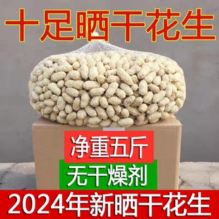 2024年新晒大颗粒白皮净重新货鲜干花生带壳生花生的