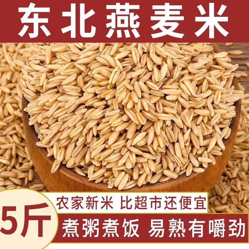 【5斤特价】东北新鲜燕麦米燕麦仁燕麦雀麦粒新米燕麦粗粮批发3斤