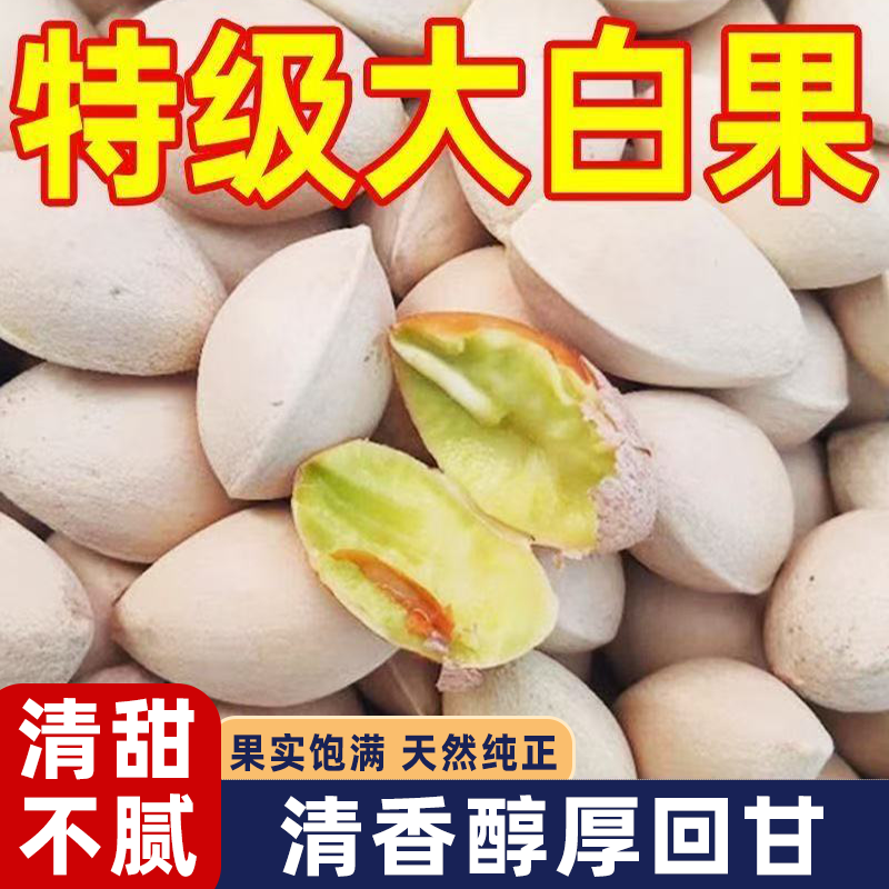 当季生白果精选银杏果带壳大果清香醇厚软糯细腻天然本味回味悠长