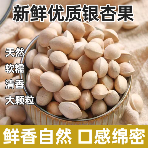 精选银杏果当季生白果带壳大果软糯香甜原味纯粹天然本味颗颗饱满