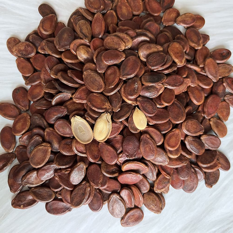 红瓜子水煮咸味晒干非原味西瓜子江西特产五香零食批发