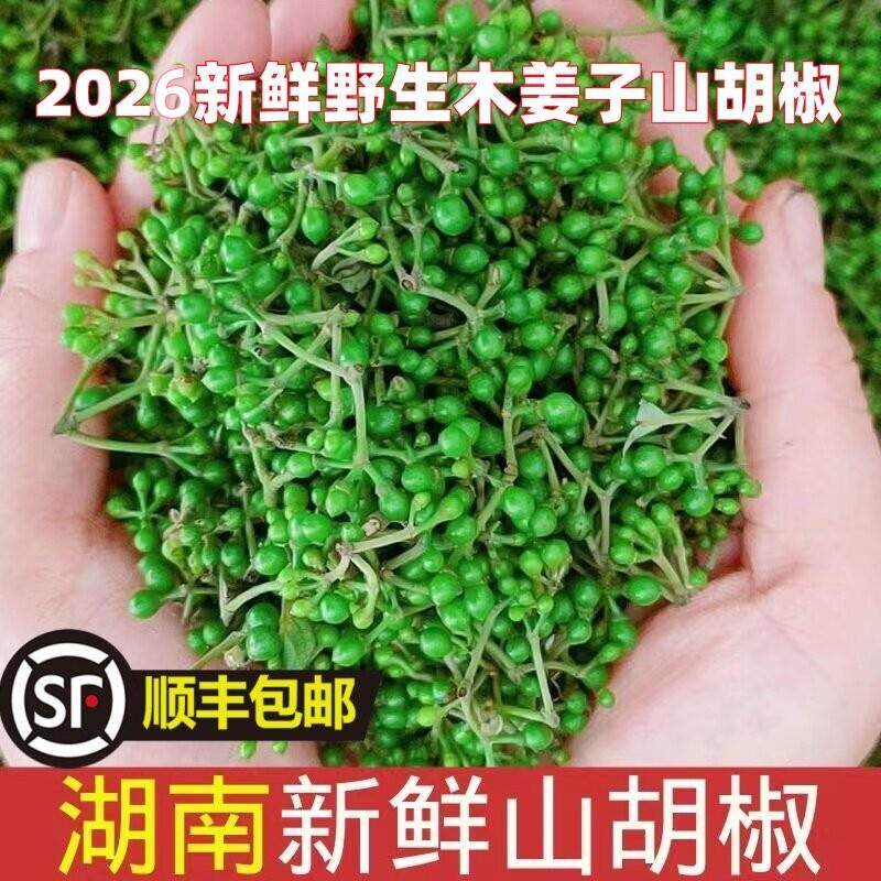 湖南特产野生新鲜山胡椒木姜子山苍子当季新货下单采摘顺丰包邮