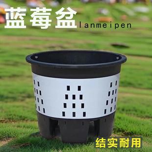 蓝莓盆塑料花盆30L25L侧排孔控根盆绿植花卉大号透气圆形花盆