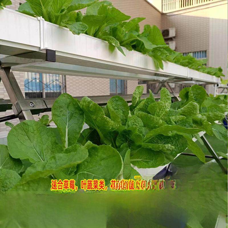 NFT无土栽培蔬菜草莓种植A字架水培设备阳台管道种菜机源头工厂店,农机/农具/农膜,无土栽培设备,淘宝优惠券,粉丝福利购,淘宝优惠卷