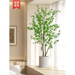 挂钟树人造绿植假植物马醉木室内大盆栽客厅装饰落地式装饰品人造