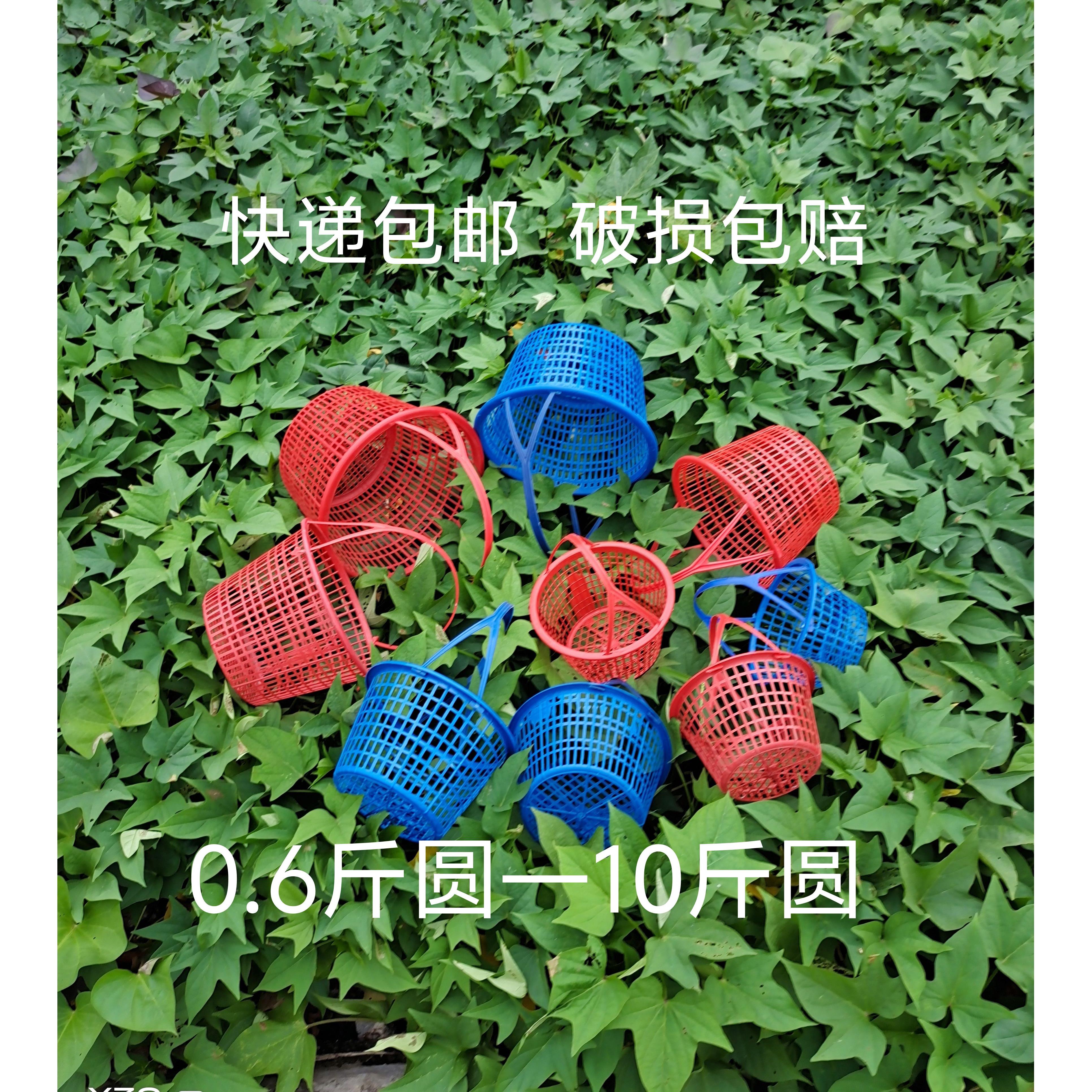 1-10斤圆篮草莓篮桑葚篮樱桃篮无花果杨梅枇杷葡萄篮采摘水果篮