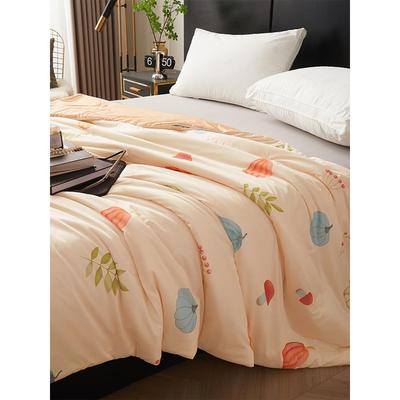 法式Jk经典夏季清凉纱布印花被芯双层夏季凉爽被空调被亲肤丝薄被