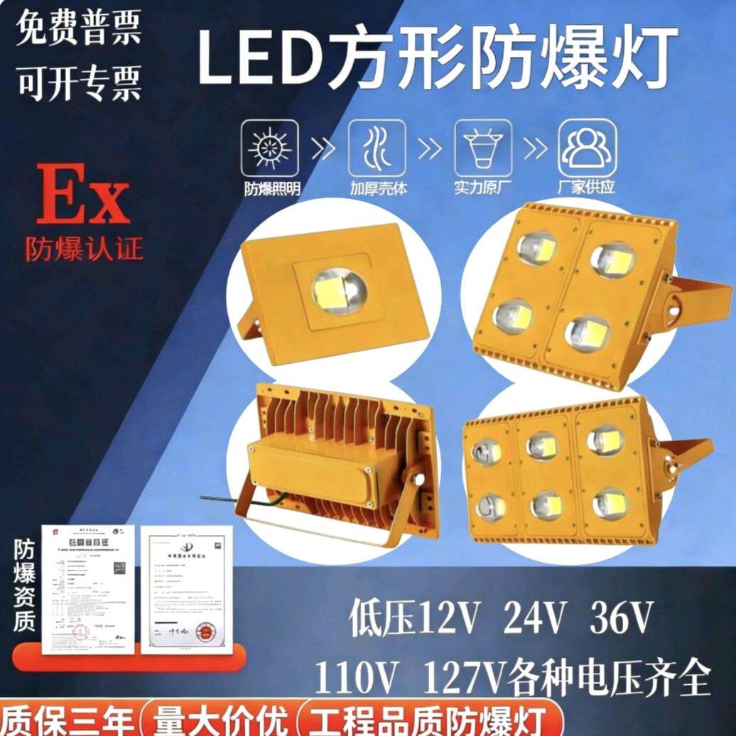 交直流36VLED防爆灯12V24V户外防水防爆投光灯110V127V低压照明