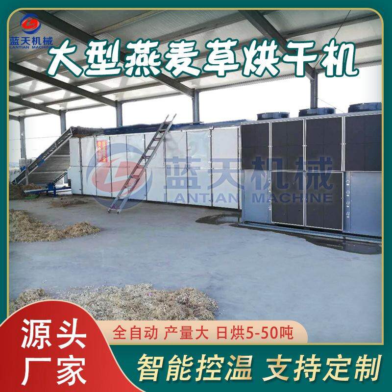 大型燕麦草烘干机 流水线大蟹钓银边草干燥机 全自动黑麦草烘干机
