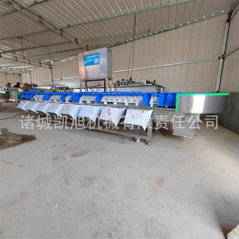 人参果自动重量分类机 柠檬桃子称重筛选分果机 小型自动选果机,五金/工具,其他包装设备,淘宝优惠券,粉丝福利购,淘宝优惠卷