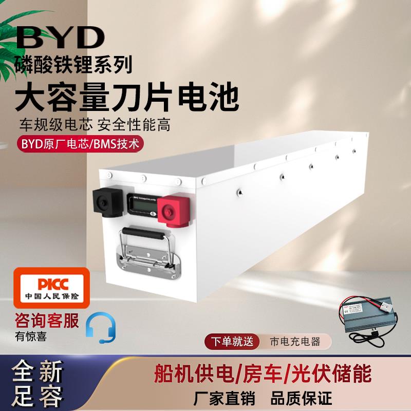 比亚迪磷酸铁锂刀片电池全新大容量24V48伏光伏太阳能储能20度电