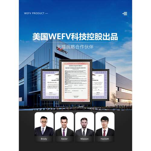 WEFV（耐震耐老化）瓷砖胶强力粘合剂粘墙砖磁砖踢脚线修补粘结剂