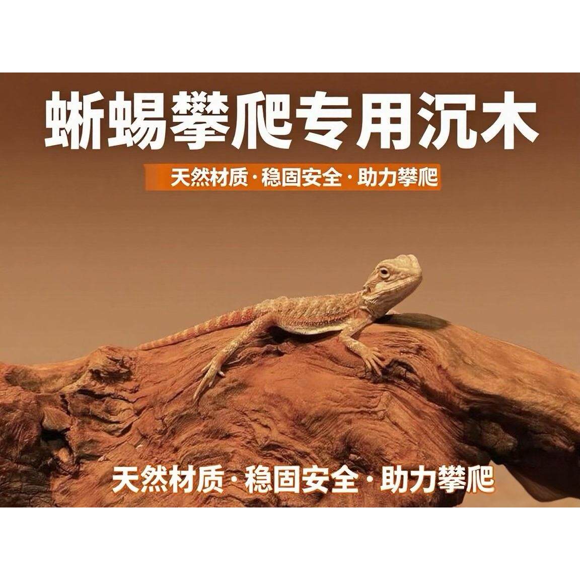 鱼缸沉木造景鬃狮蜥蜴攀爬木晒台沙漠缸 天然枯木守宫寄居蟹躲避