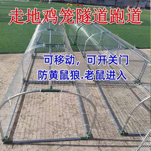 铁网鸡笼兔笼跑道养鸡隧道笼子农场户外溜达鸡笼子庭院农家用散养