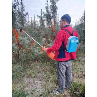 電動果實采摘機震動果實采收采打器實用沙棘山茱萸青梅