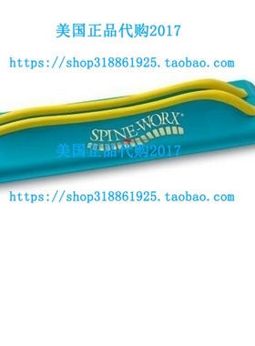 Spine-Worx Back Realignment Device