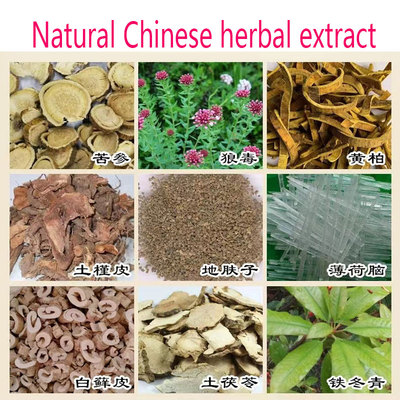 Useful Psoriasis Ointment Herbal Effective Antibacterial Ant