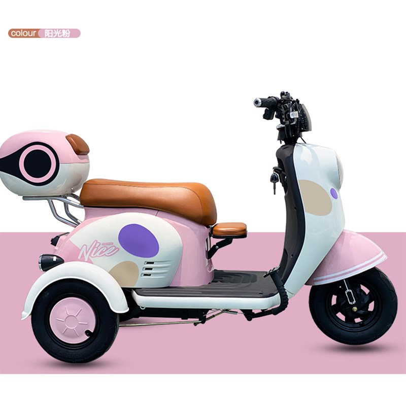 新国标电动三轮车家用小型接送孩子成人女士老人大功率三轮电瓶车