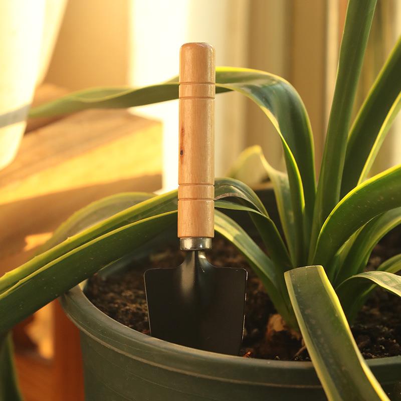 园林工具套装耙子尖铁铲大号园艺三件套迷你多肉植物松土花铁锹