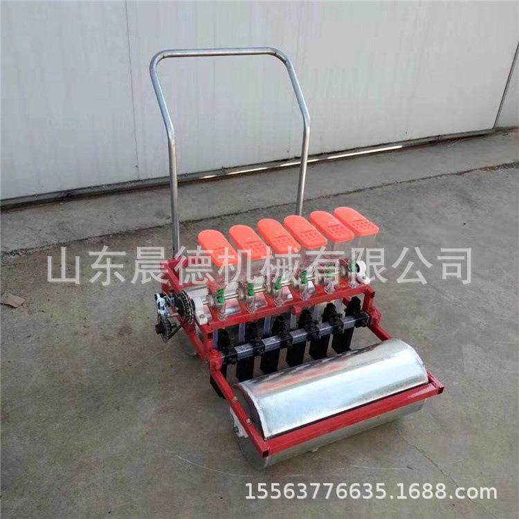 柴油汽油款可选株距可调蔬菜精播机免间苗种植机药材点播机,农机/农具/农膜,农产品加工设备,淘宝优惠券,粉丝福利购,淘宝优惠卷