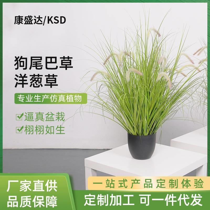 pvc洋葱草仿真黛色狗尾巴草洋葱草盆栽大型绿植摆件家居装饰盆景