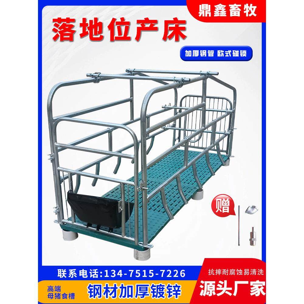 落地式母猪产床单体定位栏限位栏冷热镀锌漏粪板产保两用猪用设备
