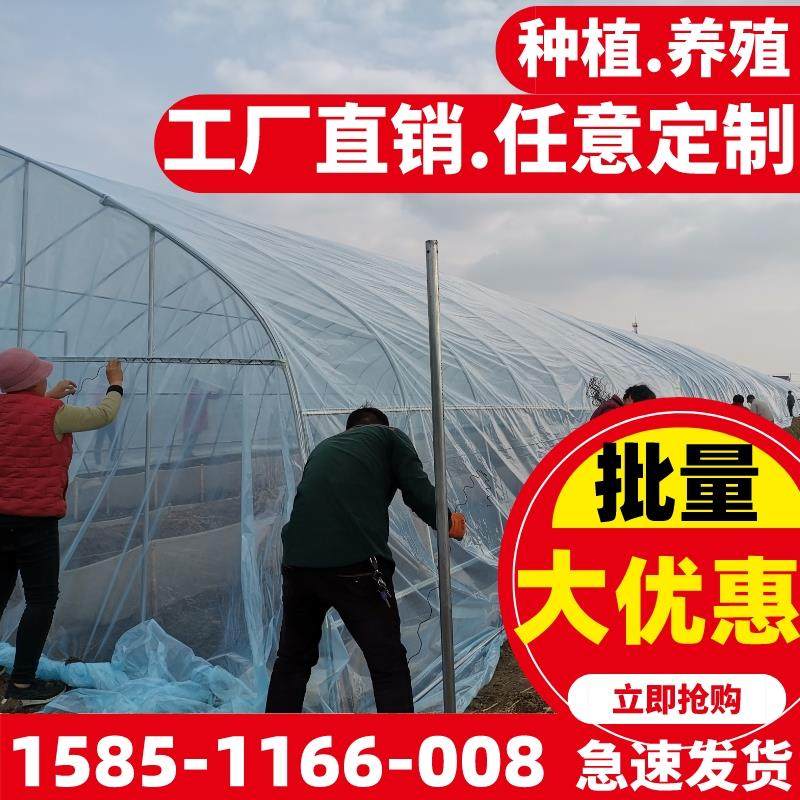 养殖大棚钢管骨架椭圆管架农业温室暖棚定制蔬菜大棚种植膜大全套