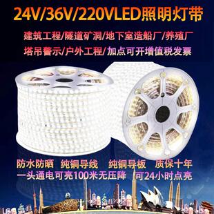 LED交流36V灯带工地建筑地下室24V户外亮化工程超亮220V白光防水