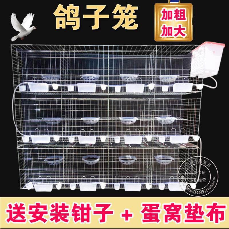 包邮鸽子笼12位养殖专用家用信鸽肉鸽配对笼繁殖笼养殖笼鸽笼笼子
