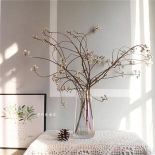 ins小白果干 干花花束天然树枝白色薏米果乌桕果小清新家居花材装