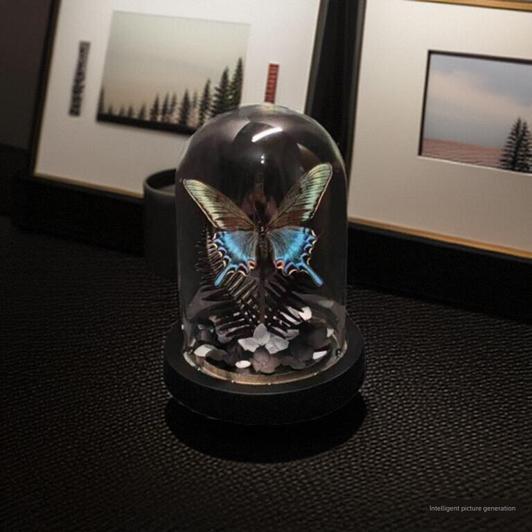 绿带翠凤蝶森林绿皇后真蝴蝶标本艺术玻璃罩摆件手工生日收藏礼物