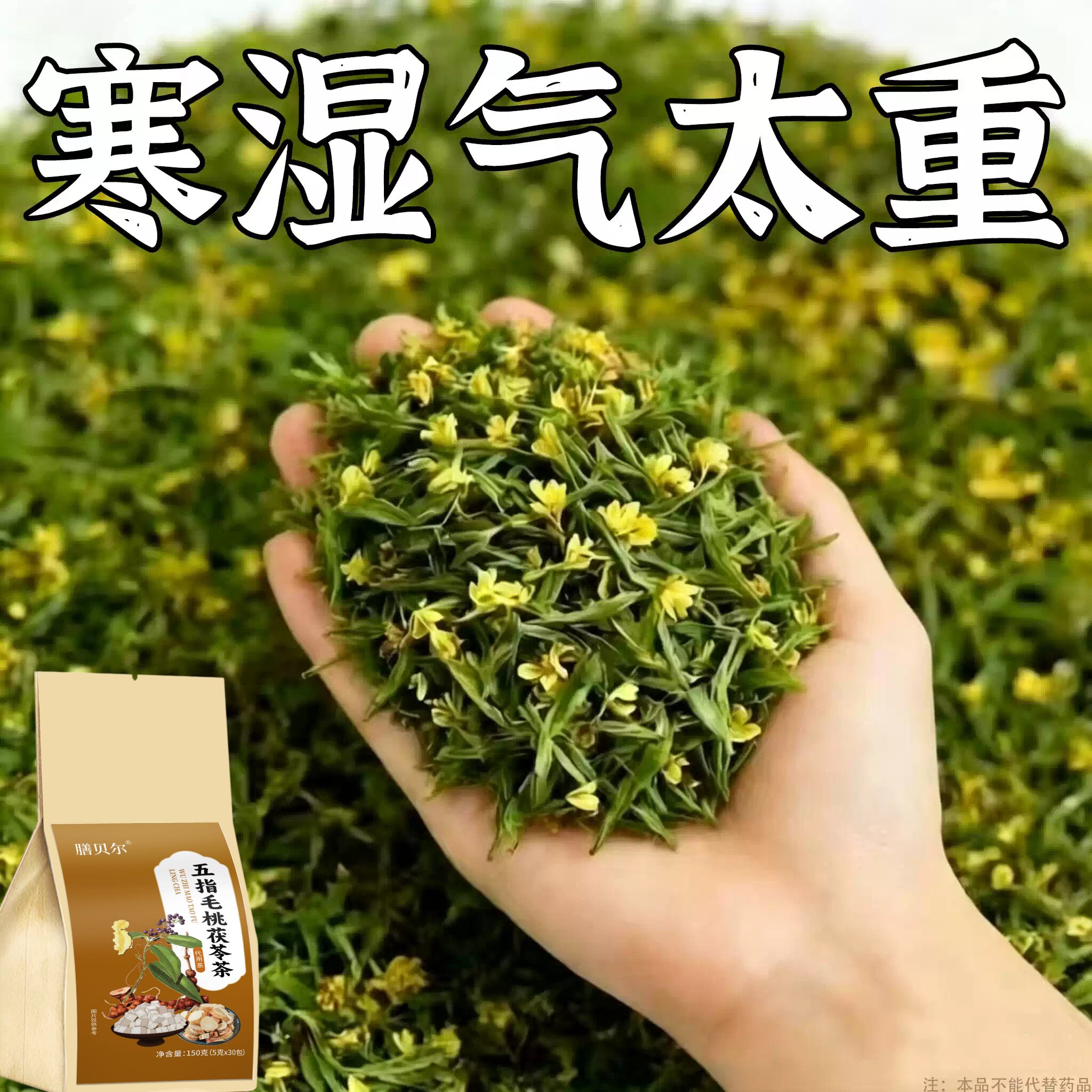 【严重湿寒】舌头白厚腻发黄口苦口干湿寒湿热湿气重湿胖肚子大