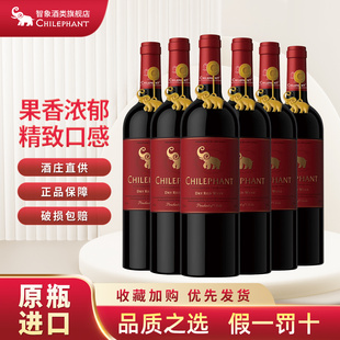 智利原瓶进口智象缤纷干红葡萄酒750ml 6瓶整箱聚会热红酒晚安