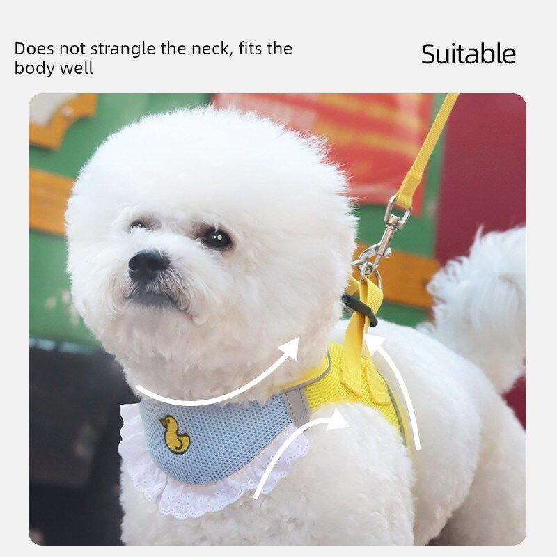 热销宠物狗牵引带狗行走绳小型和中型狗比雄泰迪防分离猫绳