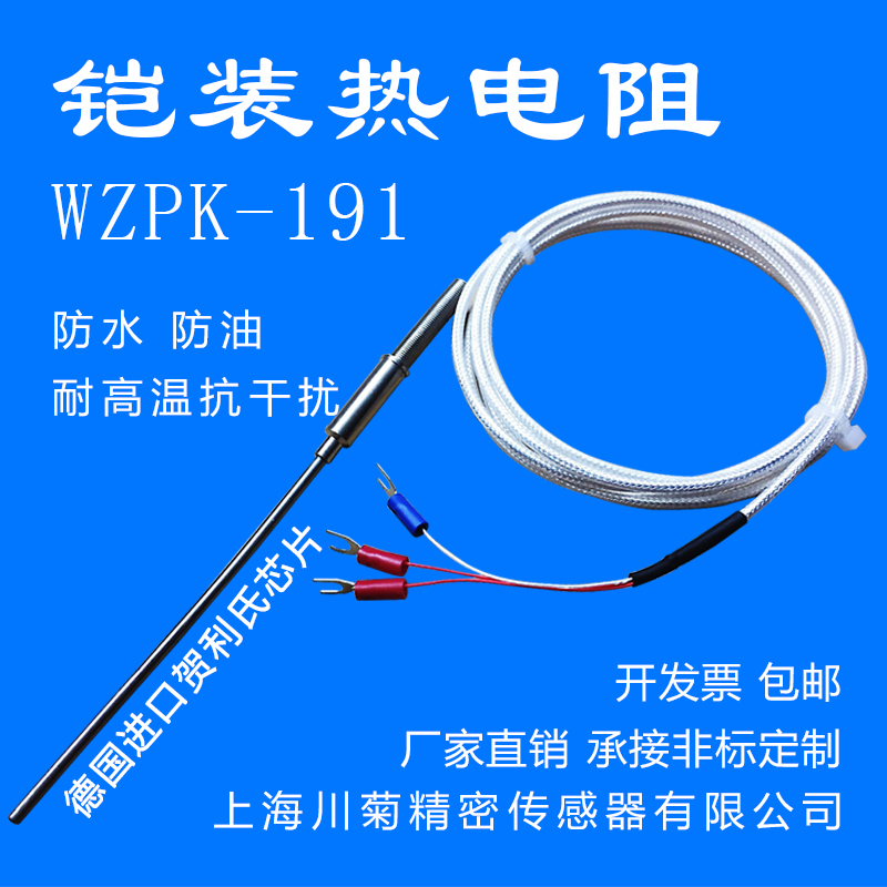 热销铠装PT100铂热电阻PT1000温度探头探针式温度传感器WZPK-191