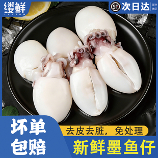 墨鱼仔新鲜冷冻商用小墨鱼乌贼生鲜商用去皮去内脏火锅食材小鱿鱼