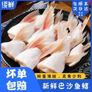 新鲜冷速急冻巴沙鱼鳍鱼肥油鲜活鱼鳍翅鮰鱼鳍鱼腩安康鱼烧烤商用