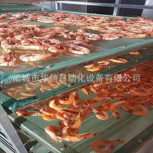 空气烘箱式大虾墨鱼鱼片干HX-RB6P机设备能 海产烘品烤机烘干设备
