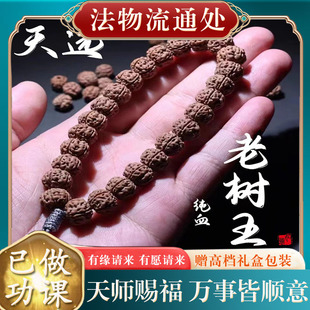 收藏级纯血老树王小金刚菩提子手串单圈原籽爆肉双龙纹男女手串