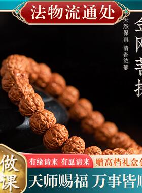 小金刚菩提手串成品文玩金刚菩提手链男女木把玩件学生盘玩手饰