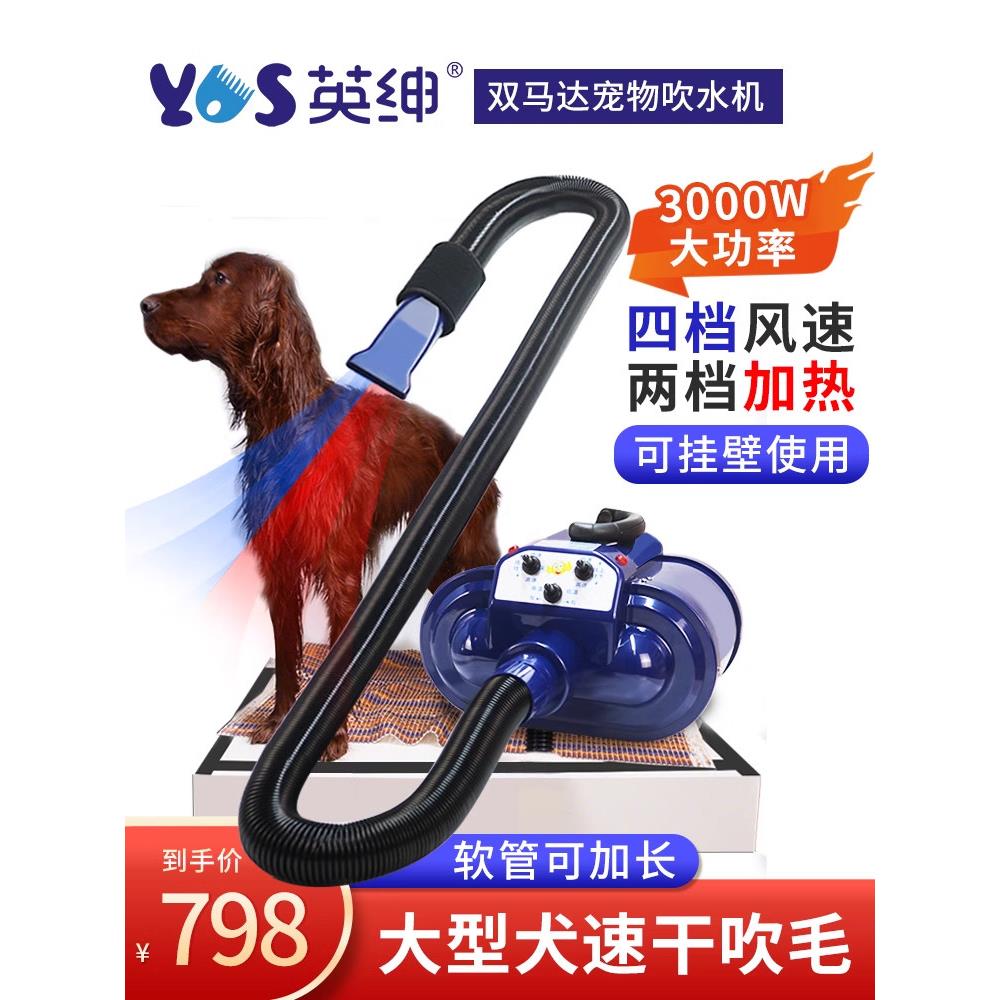 英神双电机宠物风机大型狗宠物店大功率烘干吹风机电加热专用吹毛