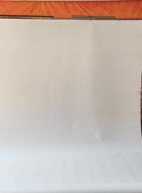 3x11m影楼纯色拍照背景纸商拍吸光加厚单色写真背景帆布商拍背景