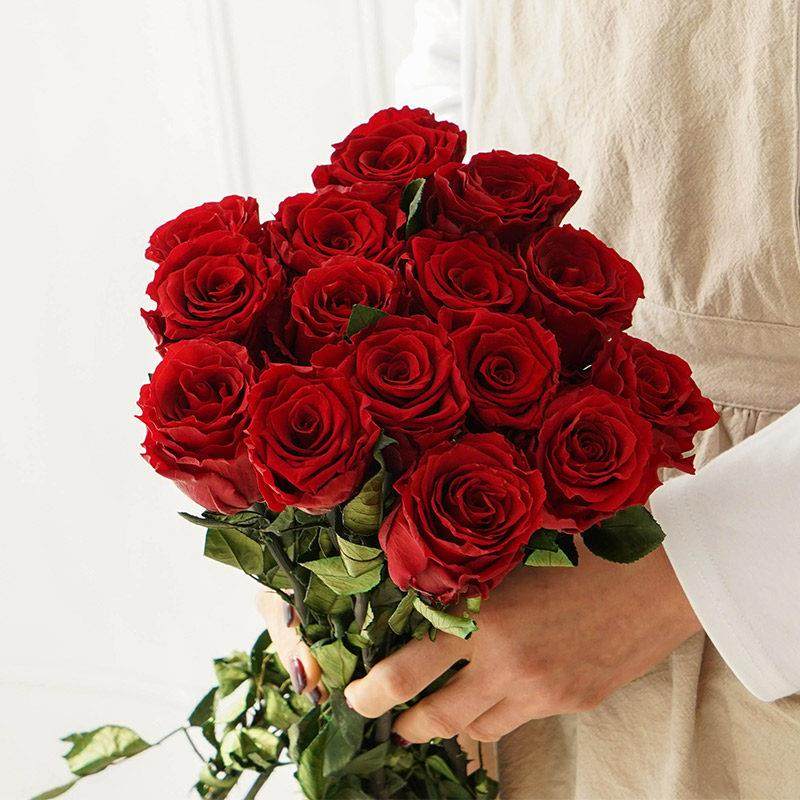 永生玫瑰干 干燥花花束真花玻璃罩许愿 瓶diy送女友闺蜜高级感生,鲜花速递/花卉仿真/绿植园艺,永生花,淘宝优惠券,粉丝福利购,淘宝优惠卷