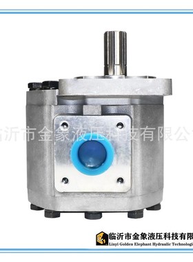 液压齿轮泵CBTf-E/CBT-F532/550/563/580/590/5100花左花右侧出