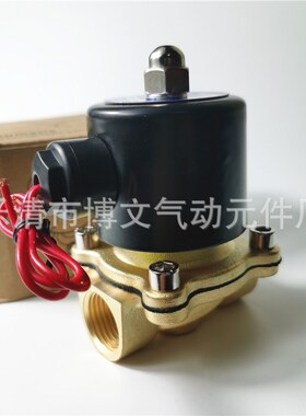 全铜水阀二位二通直动式电磁阀2W160-15 UW-15 OAC220V DC24V