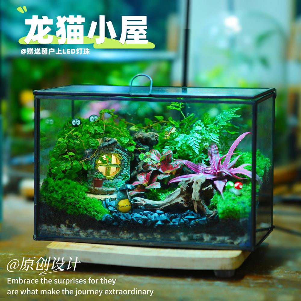 苔藓微景观生态造景办公桌面床头装饰龙猫小屋带灯珠创意摆件盆栽