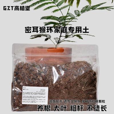 GZT·密叶猴土家庭专用土密叶猴耳环营养土避免叶尖发黄高速生长
